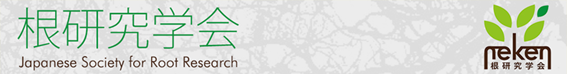 250611_1.png